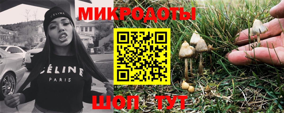 Галлюциногенные грибы GOLDEN TEACHER  Вход с VPN  где можно купить наркотик  Урай 