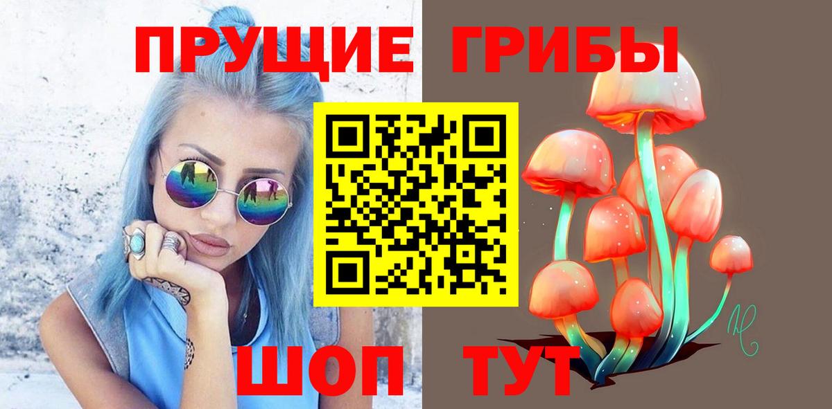 Псилоцибиновые грибы Cubensis Урай